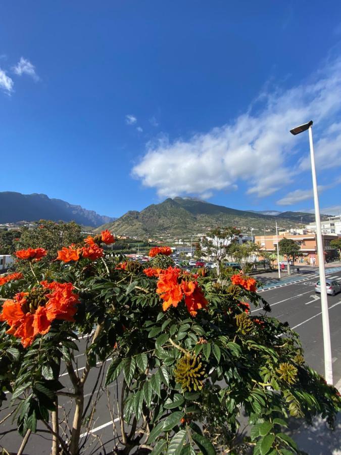 Casatranquila Lejlighed Los Llanos De Aridane Eksteriør billede